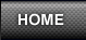 Home Button